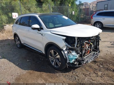 KNDRMDLG0P5****** 2023 Kia Sorento