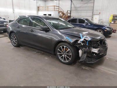 19UUB2F59FA****** 2015 Acura TLX
