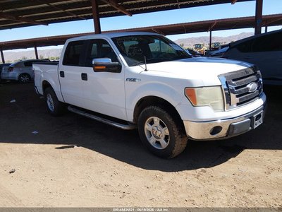 2009 Ford F-150