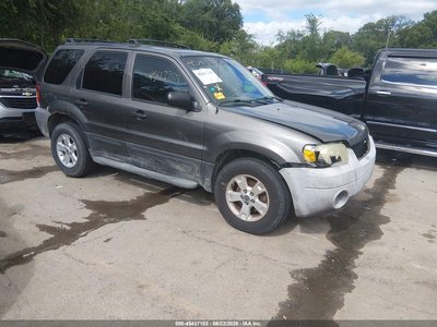 1FMYU93195K****** 2005 Ford Escape