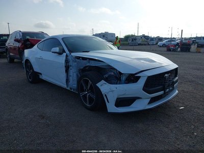 1FA6P8TH0S5****** 2025 Ford Mustang