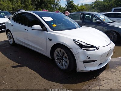 5YJ3E1EA7MF****** 2021 Tesla Model 3