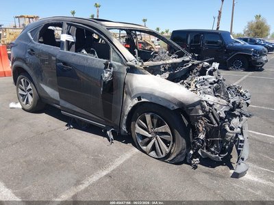 JTJYARBZ3K2****** 2019 Lexus NX