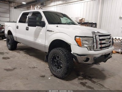 2010 Ford F-150