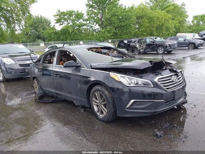5NPE24AFXGH****** 2016 Hyundai Sonata