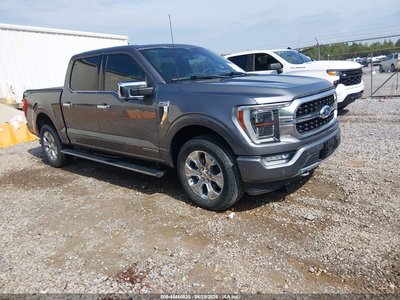 1FTFW1ED3PF****** 2023 Ford F-150