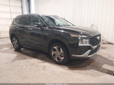 5NMS2DAJ0PH****** 2023 Hyundai Santa Fe