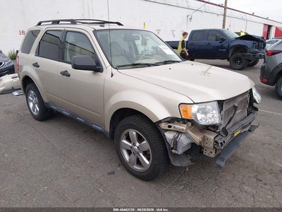 1FMCU9DG0AK****** 2010 Ford Escape