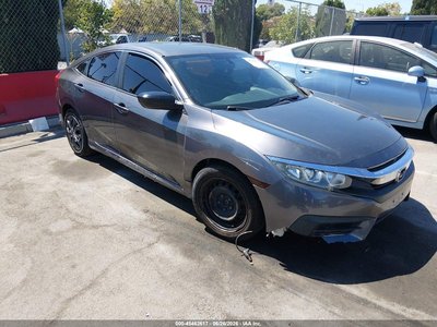2HGFC2F58HH****** 2017 Honda Civic
