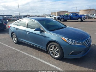 5NPE24AF0GH****** 2016 Hyundai Sonata