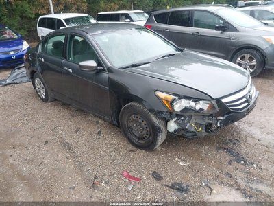 2011 Honda Accord