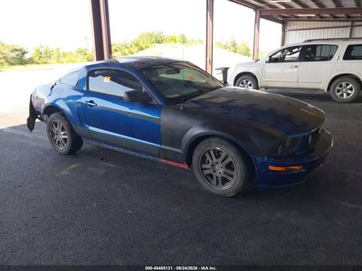 1ZVHT82H065****** 2006 Ford Mustang