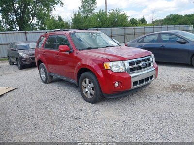 2009 Ford Escape