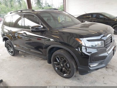 2024 Honda Passport