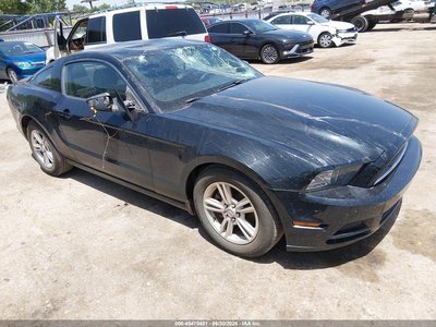 1ZVBP8AMXE5****** 2014 Ford Mustang