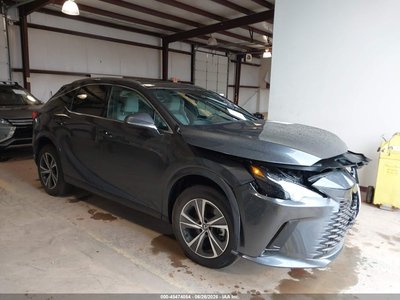 2025 Lexus RX