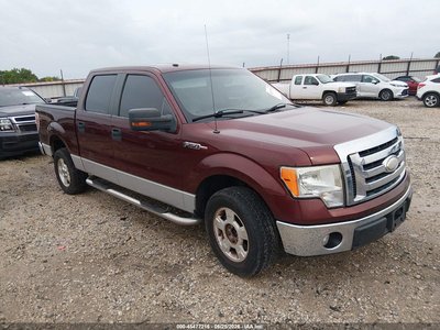 2009 Ford F-150