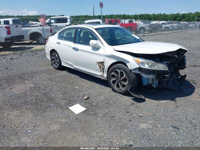 1HGCR2F82GA****** 2016 Honda Accord