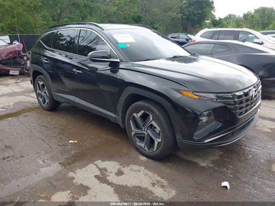 KM8JECD13RU****** 2024 Hyundai Tucson Hybrid