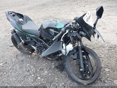 ML5EXGG19SD****** 2025 Kawasaki EX500