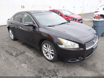 2010 Nissan Maxima