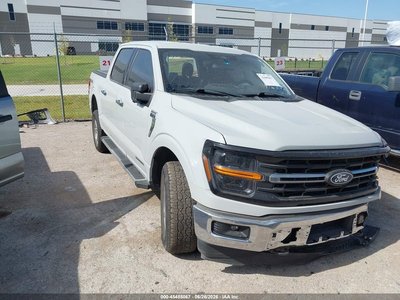 1FTFW3LD6RF****** 2024 Ford F-150