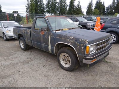 1GCCS14A4M0****** 1991 Chevrolet S-10