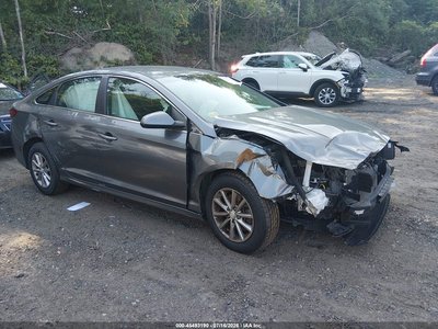 5NPE24AF1KH****** 2019 Hyundai Sonata