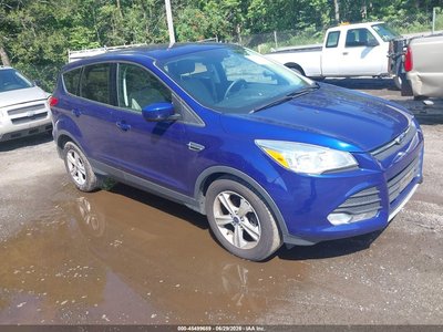 1FMCU0G70GU****** 2016 Ford Escape