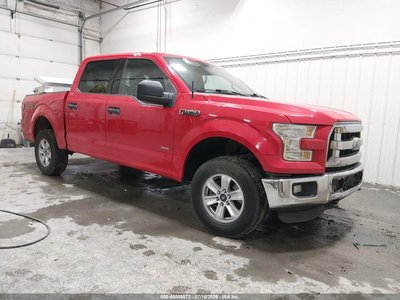 1FTEW1EG9FF****** 2015 Ford F-150