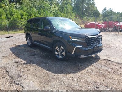 5FNYG2H43SB****** 2025 Honda Pilot