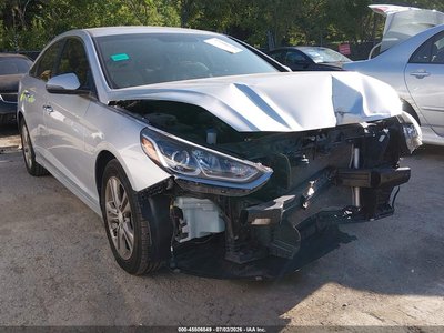 5NPE34AF7KH****** 2019 Hyundai Sonata