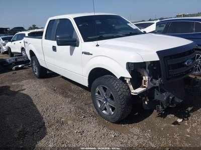1FTFX1EF0DF****** 2013 Ford F-150