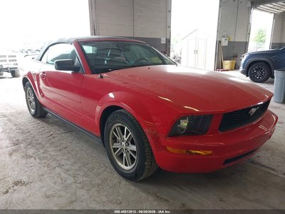 1ZVFT84N865****** 2006 Ford Mustang