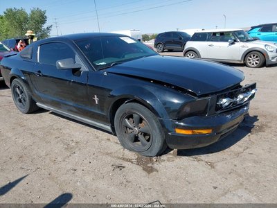 1ZVHT80N885****** 2008 Ford Mustang