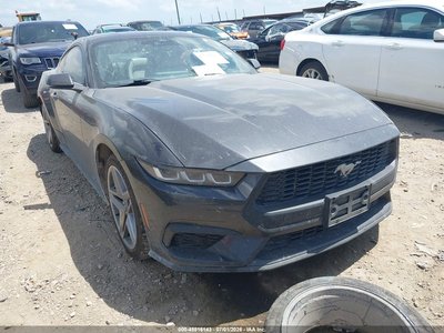 1FA6P8TH2R5****** 2024 Ford Mustang