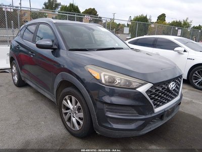 KM8J33A4XKU****** 2019 Hyundai Tucson