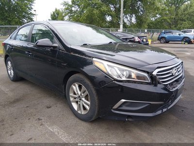 5NPE24AF5GH****** 2016 Hyundai Sonata