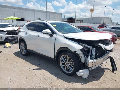 2025 Lexus NX