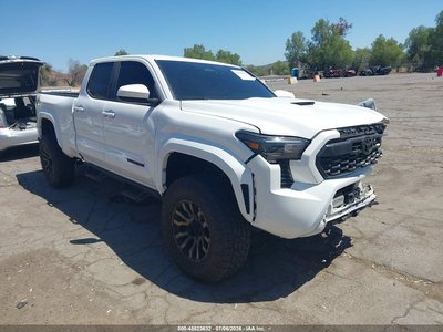 3TMLB5JN8RM****** 2024 Toyota Tacoma