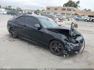 WBA2G1C38HV****** 2017 BMW 2 Series