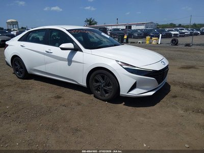 5NPLM4AG0PH****** 2023 Hyundai Elantra