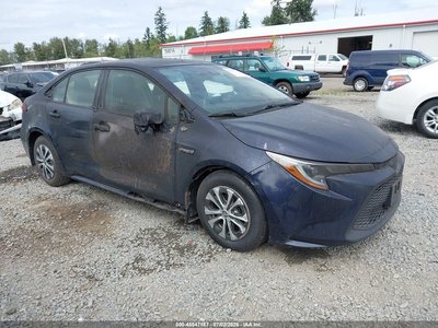 JTDEBRBE6LJ****** 2020 Toyota Corolla Hybrid