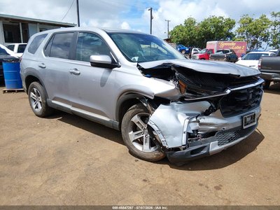 5FNYG1H44RB****** 2024 Honda Pilot