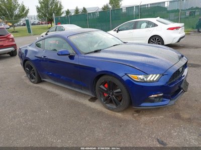 1FA6P8TH2F5****** 2015 Ford Mustang