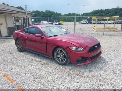 1FA6P8TH6G5****** 2016 Ford Mustang