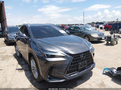 2025 Lexus NX 350