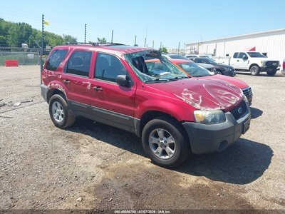 1FMYU03175D****** 2005 Ford Escape