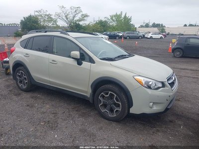 JF2GPAGC1D2****** 2013 Subaru XV Сrosstrek
