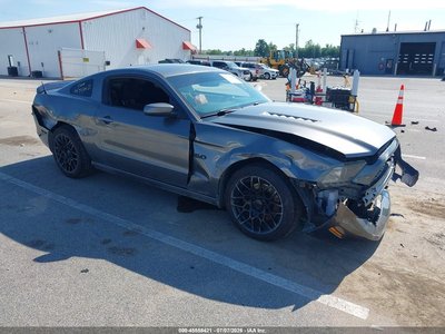 1ZVBP8CF6E5****** 2014 Ford Mustang